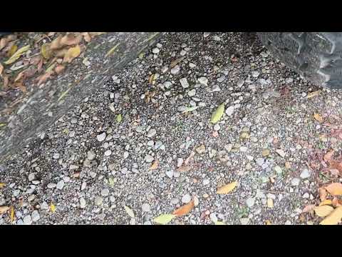 1975 GMC 1500 (CC-2015373) for sale in Sheridan , Wyoming