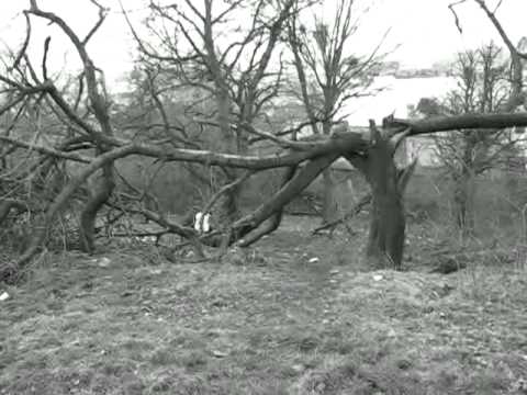 Silent Hill Homecoming main theme Extended