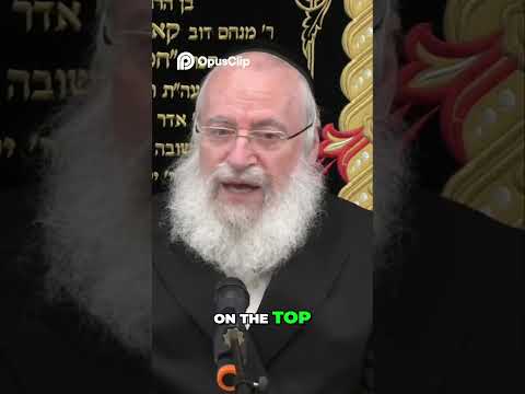 The Shabbos Umbrella: The Fascinating Story & Halachic Question!