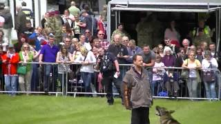 preview picture of video 'Armed Forces Day 2013 Nostell Priory'