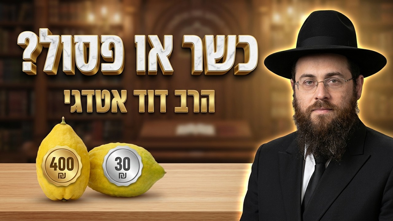 הרב דוד אטדגי • טעויות במכירת אתרוגים ודיני שכנים בסוכה