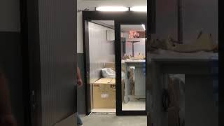 auto door