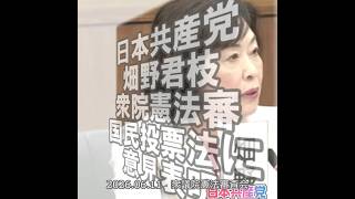 【国会切り抜き】国民投票法改定反対 憲法を現実の政治に活かすべき #日本共産党 #畑野君枝 衆院議員 2026.06.11 #衆議院 #憲法審査会