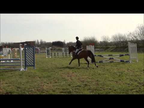 Livingstone - WJP Broechem