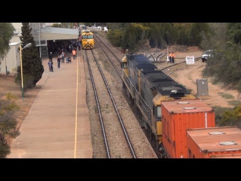 Pacific National Freight train passing the Trans-Australian Railway Centenary Train at Port Augusta