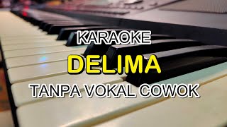 Download lagu DELIMA KARAOKE DUET TANPA VOKAL COWOK mp3