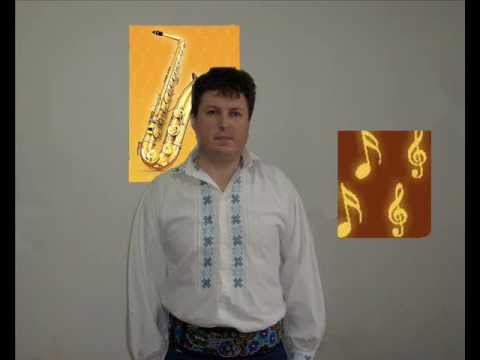 Formatia ,,Folcloristii'' Brasov  Vagabondul vietii mele