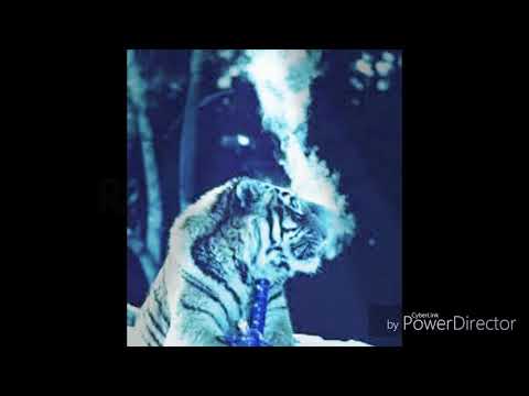 Rapu Korona freestyle 9