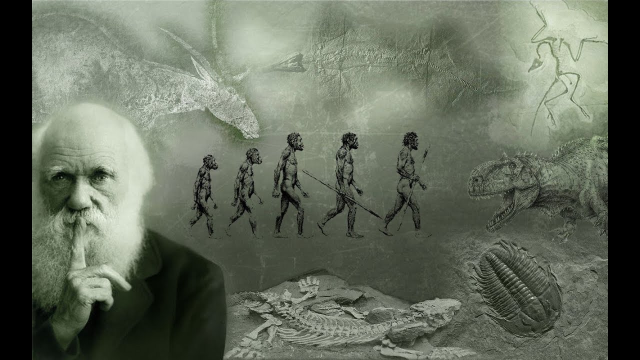 Теория Дарвина придуманная на заказ?