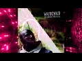 Wildchild - Kiana