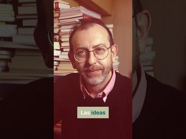 Vídeo relacionado con The Political Discourse of Carl Schmitt: A Mystic of Order (English Edition)