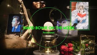 七尾旅人 “DAVID BOWIE ON THE MOON” (Music Video Edit)