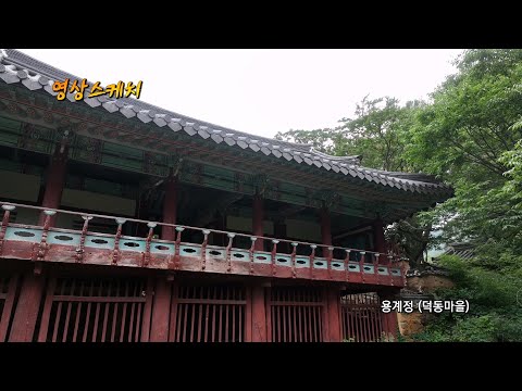 포항 용계정