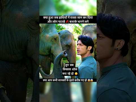 I Rescued Every Animal In This Shelter 😱😱 #virals #trendings #shorts