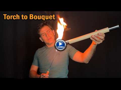 Voir la vidéo de Torch To Bouquet