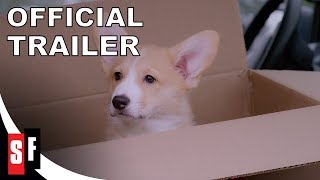 Video trailer för A Very Corgi Christmas