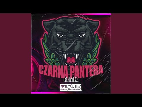 CZARNA PANTERA (feat. PANTERA.REE & DRON)