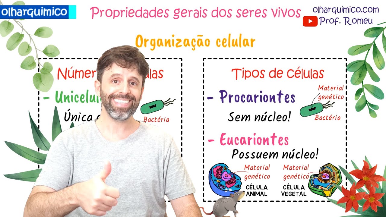 VIDA E CARACTERÍSTICAS GERAIS DOS SERES VIVOS (PROVA, VESTIBULAR, ENEM) - OLHAR QUÍMICO |PROF. ROMEU