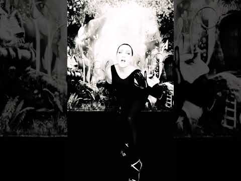 I’m Not Calling You a Liar