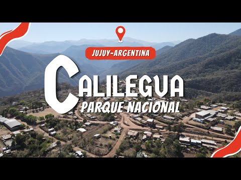 Jujuy Ruta por el parque nacional Calilegua
