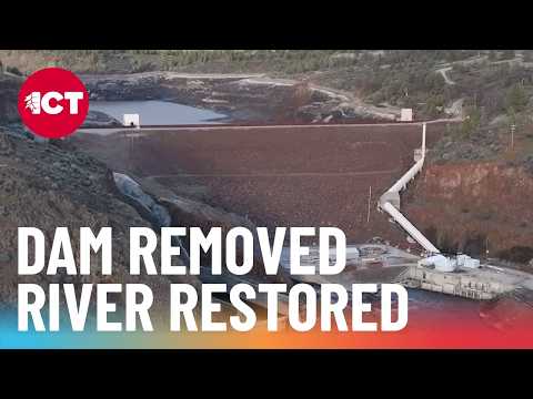 Salmon Return to Klamath River After Historic Dam Removal