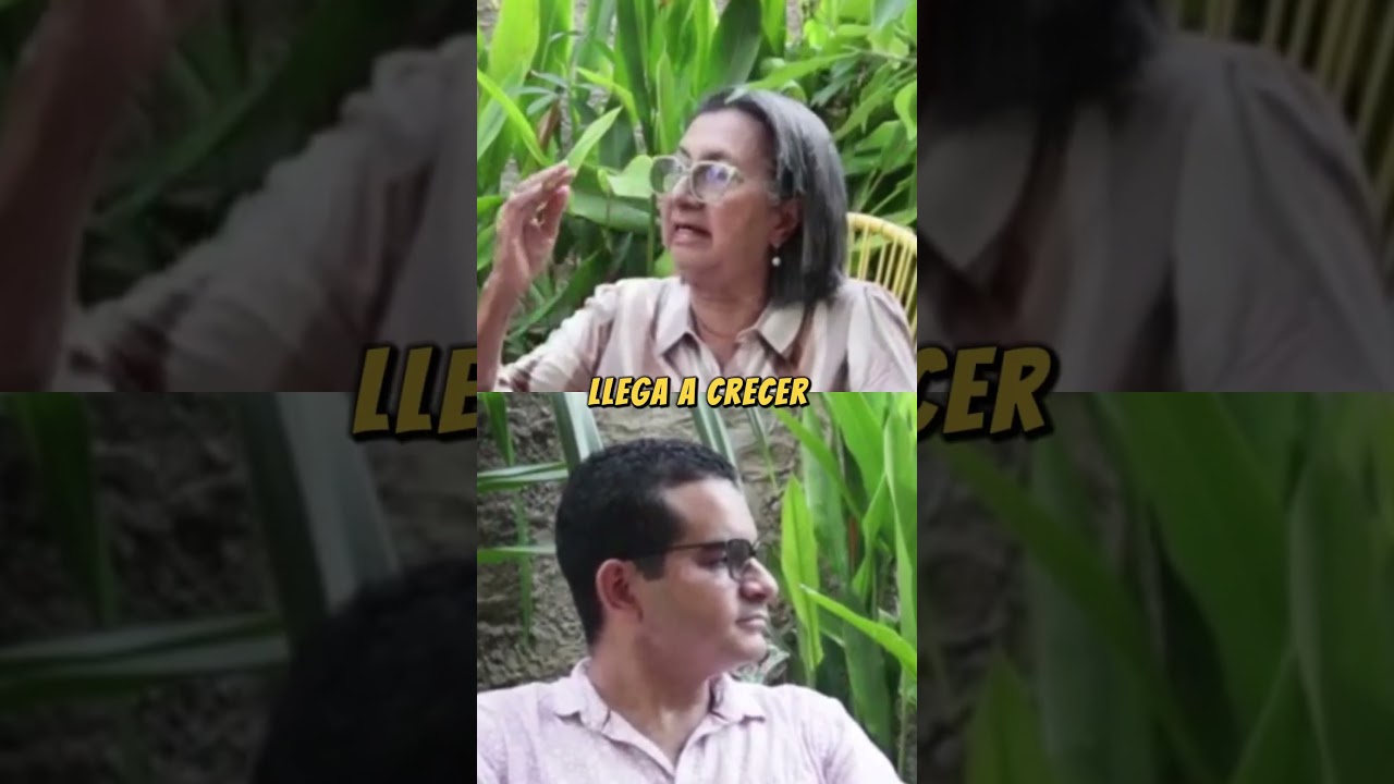 ¿Cómo nació la Renovación Carismática Católica?