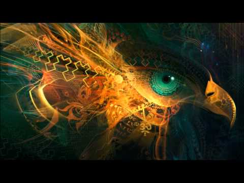 download lagu mp3 mp4 VA Soma Compilation 2011, download mp3 VA Soma Compilation 2011 free downloadn, video klip VA Soma Compilation 2011