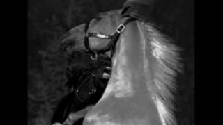 reckless- a crowd electric VS crystal castles