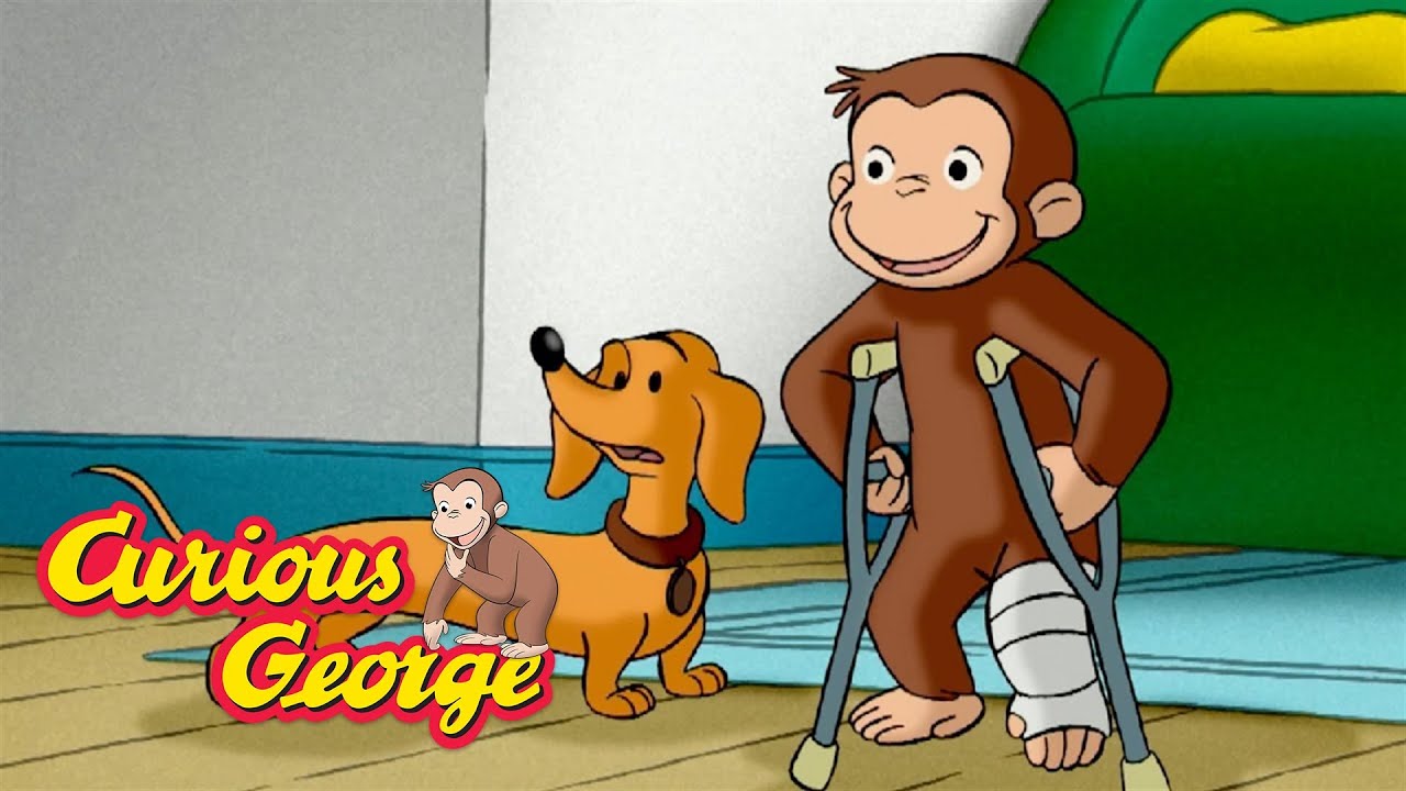 Hundley the Monkey Sitter!  🐵 Curious George 🐵 Kids Cartoon 🐵 Kids Movies