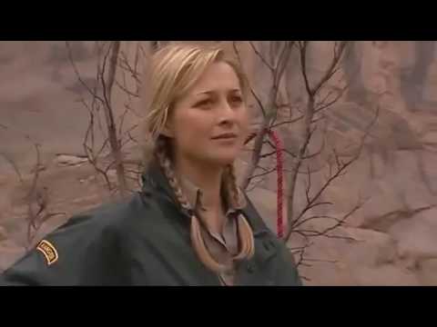 Blue Heelers - 10x34 Safety Last