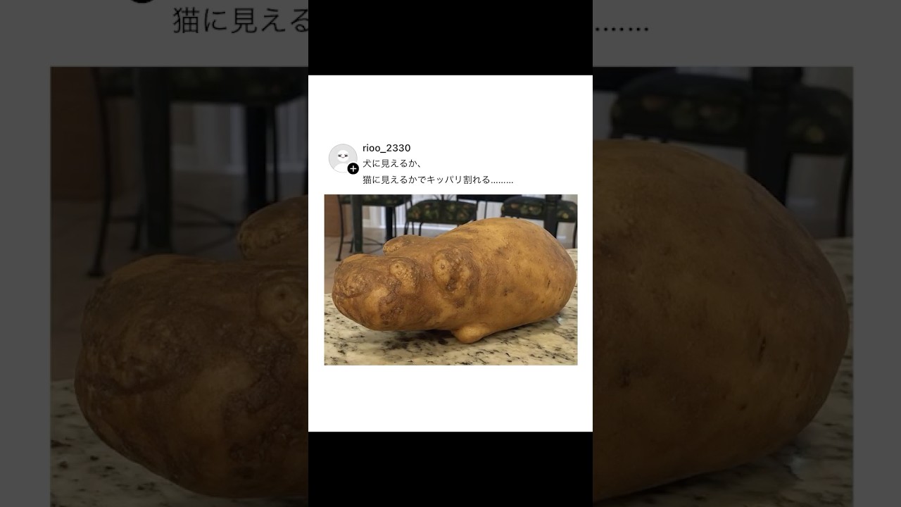 SNSでバズった投稿が面白すぎるwww