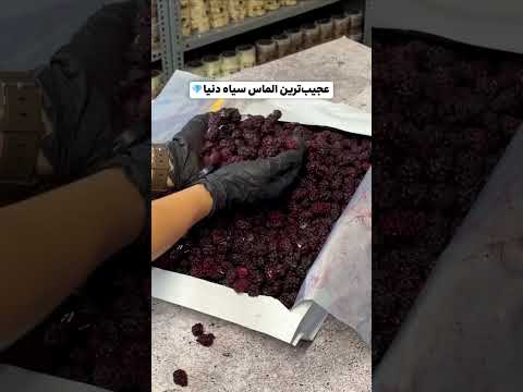 Freeze dried blackberry: delicious, healthy, and unforgettable snack. #healthysnacks