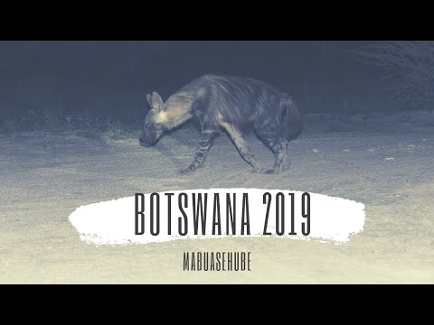 Botswana 2019 Part 2   Mabuasehube Camping and Sightings