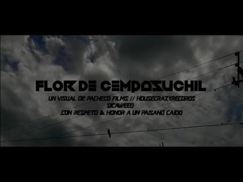 FLOR DE CEMPASUCHIL🥀- SICAWEED (VIDEO OFICIAL)