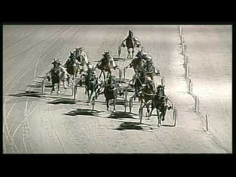 Trotto 01/03/2020 - 7ª corsa