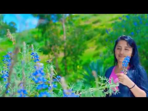 # KELLY POLO // No volvere atras//VIDEO OFICIAL"2020