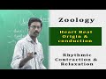 Zoology Human Body Pumping Action Of Heart Blood And Heart Related System