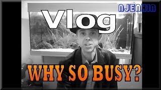 Vlog njenkin 29/12/2013 : Why so Busy ?