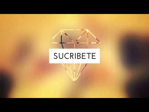 Trailer sheylin 2017