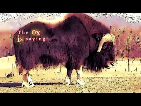 Perek Shirah - Nature's Song - Ox Scene