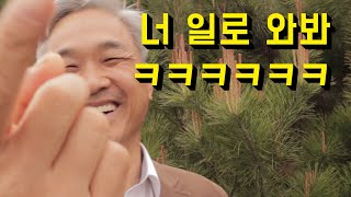 산마늘. 씨앗가격, 구매처, 구매시기와 오해