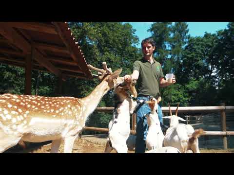 A bit of Parco Pallavicino