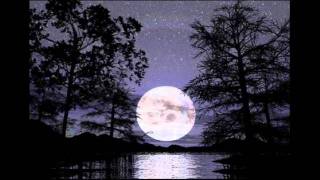 TEMERARIOS_POBRE TONTO ENAMORADO.wmv