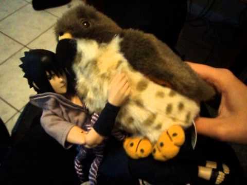 Sasuke and his hawk
