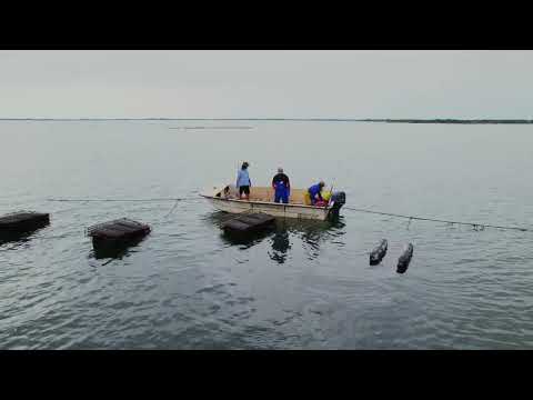 Richard A. Fisher video