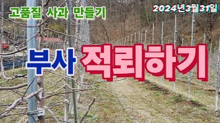 부사 적뢰 하는방법