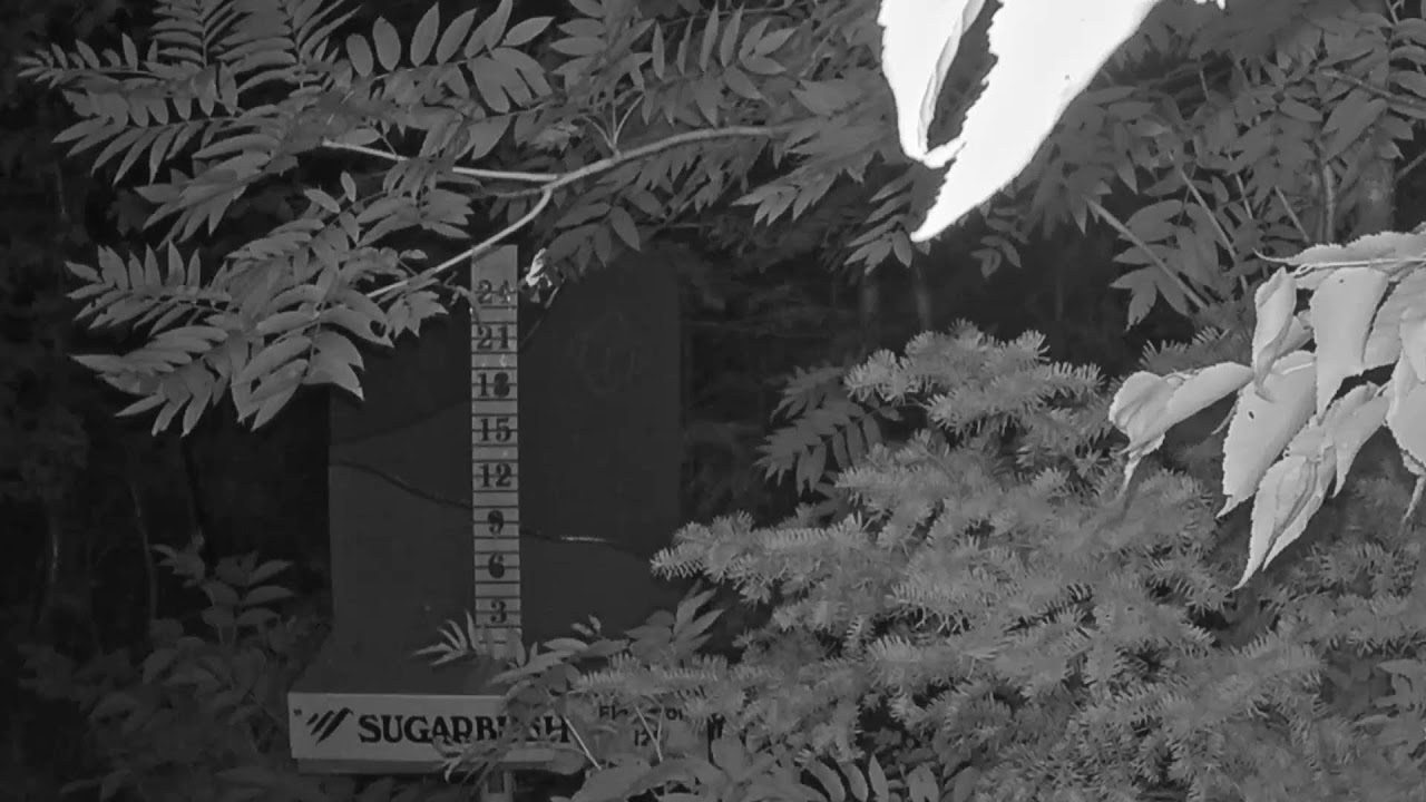 Live webcam view of Estaca de Nieve, Sugarbush