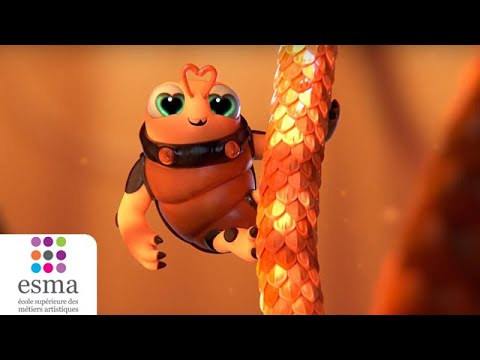 Love is in the hair - ESMA 2019 (Teaser)