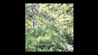 Ø (Mika Vainio) | Aallonmurtaja / Breakwave [Sähkö 2005]