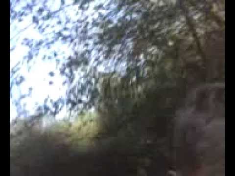 Pe dealurile mieragului parte 1